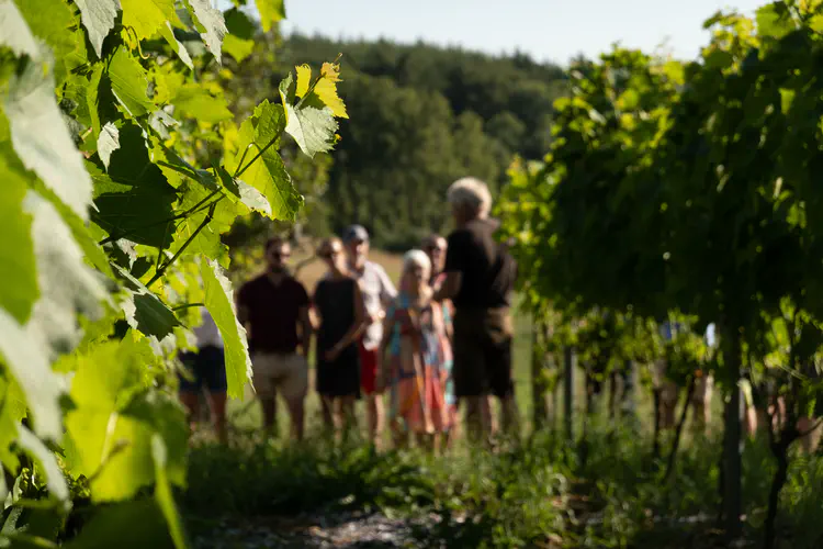 Foto fra oplevelsen: Vinsmagning med rundvisning & spisning